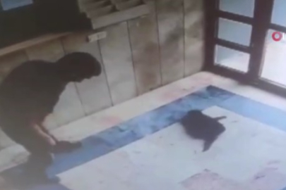 Cezve'yi öldüren Burak Alan'a 3 yıl 8 ay hapis cezası verildi