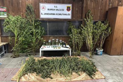 Bursa’da 9 kilo 400 gram esrar ele geçirildi