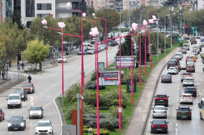 Erken teşhis için sokak lambaları pembe yanıyor