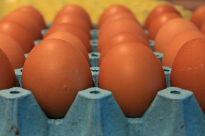 Kabuğun içindeki sağlık: Yumurta