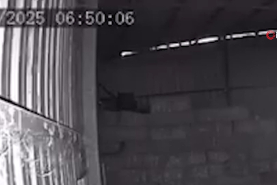 Mudanya'da ahır ve samanlık yangınında 170 hayvan küle döndü, o anlar kamerada