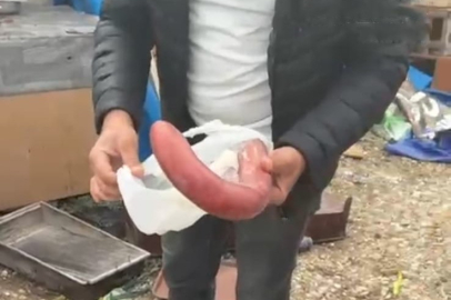 Yüzlerce taraftar zabıtanın dikkati sayesinde zehirlenmekten kurtuldu