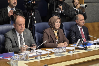 Milli Parklar’a ilişkin kanun teklifi Komisyon'da