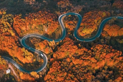 Yeşilden kırmızıya, turuncudan sarıya renk cümbüşü