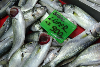 Denizlerin prensi 'lüfer' 900 liradan tezgahta