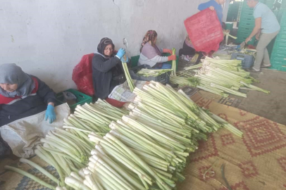 Kışlık ürünlerde tarladan alım fiyatları belli oldu