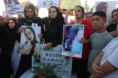 Rojin Kabaiş, mezarı başında anıldı