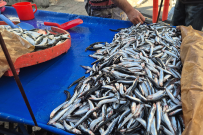 Hamsinin kilosu 150 TL'ye düştü