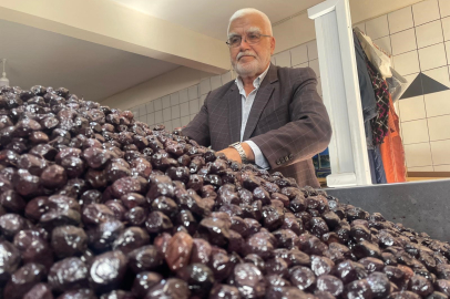 İsviçreliler, Gemlik zeytinine hayran