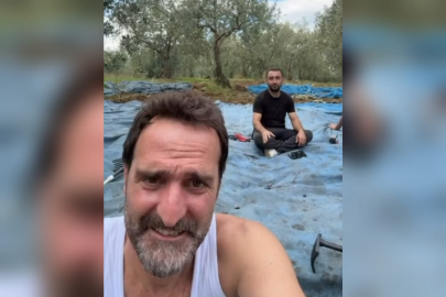 Çakallarla Dans’ın Köfte Necmi’si ilk zeytin hasadını yaptı