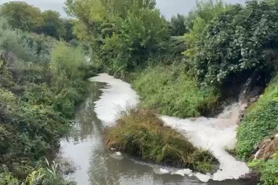 Gemlik Körfezi'nde kirlilik endişeye yolaçıyor