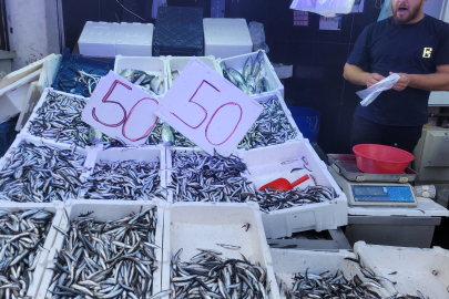 Karadeniz hamsisi tezgahları doldurdu: Kilosu 50 lira