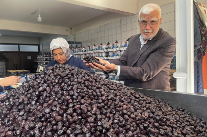 Zeytinde ihracatın yeni üssü: Bursa ve Balıkesir