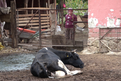 Besici ayrımı yapılmasın: 'Şap zararı herkese ödensin!'