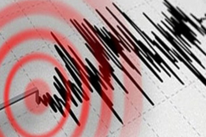 Karayipler'deki Guadeloupe Adası açıklarında 6.5 büyüklüğünde deprem