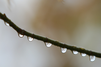 Bursa’ya bereket yağdı: Barajlar, toprak ve çiftçi rahat nefes aldı