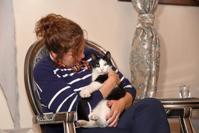 Osmangazi’den okuma kültürüne destek, ‘Kedi Mektupları’ okundu