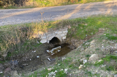 Boş arazide bebek cesedi bulundu