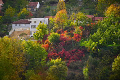 Sonbaharın büyüsü Bursa'yı sardı