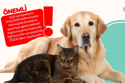 Evinde kedi-köpek besleyenlere mikroçip uyarısı