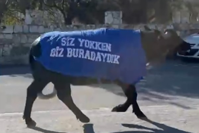 Mandalı protesto: Okul sahibinden dikkat çeken tepki