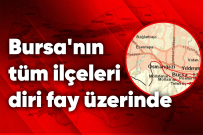 Bursa'nın tüm ilçeleri diri fay üzerinde