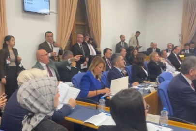 TBMM Plan Bütçe Komisyonu'nda ‘elektrik kesintisi' tartışması