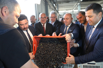 Marmarabirlik’te hedef 70 bin ton zeytin, 50 milyon dolarlık ihracat