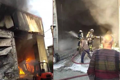 Gebze’deki facianın görüntüleri ortaya çıktı