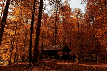 Yedigöller’de kartpostallık manzaralar