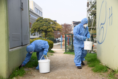 Osmangazi’de kemirgenlere yönelik mücadele