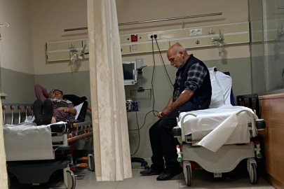 Ormandaki mantarları yiyen 7 kişi zehirlendi!