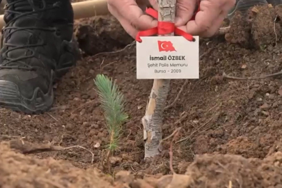 Bursa’da şehitler anısına fidan dikildi