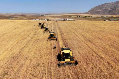 Çiftçinin maliyeti katlanıyor: Tarım-GFE yıllık yüzde 34,60 arttı