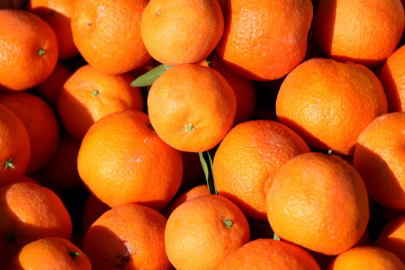 Zirai ilaç kalıntısı bulunan 6 ton mandalina imha edildi