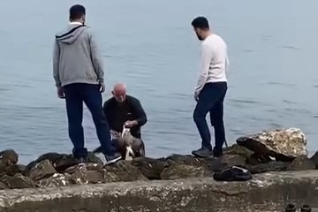 Bu sefer oltaya martı takıldı