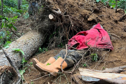 Kesmek için çıktığı ağaç sonu oldu! Müdahalelere rağmen kurtarılamadı...