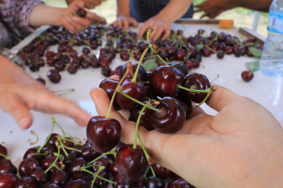 15 Aralık ''Coğrafi İşaretler  günü'' olarak kutlanacak