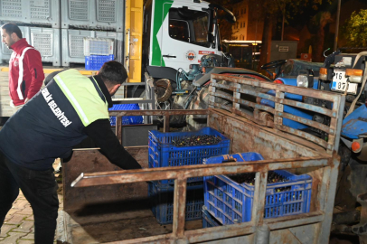 Gemlik Belediyesi'nden zeytin üreticisine büyük destek: Yağlık zeytin 60 TL'den alınıyor!