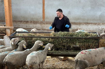 Bursalı hayvan üreticileri şap sonrası destek bekliyor: Üretici 1,5 milyon lira zararda