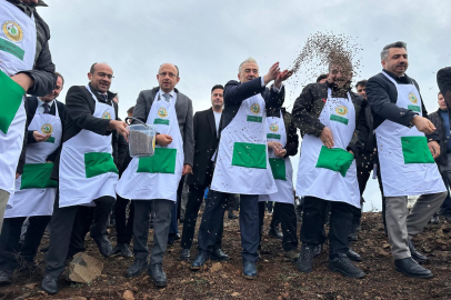 ‘’Birlikte söndürdük birlikte yeşerteceğiz": Harmancık'ta yanan 4.256 hektar alan için dev ağaçlandırma başladı