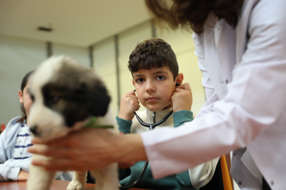 Bursa’da çocuklar bir günlüğüne veteriner hekim oldu