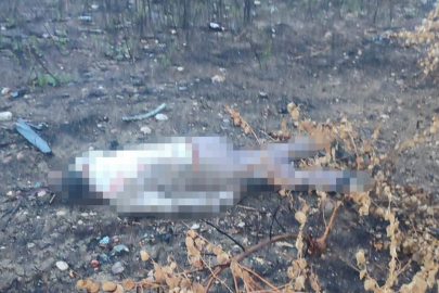 Viyadük’de gizemli kaza: Sürücü 30 metre aşağıda ölü bulundu