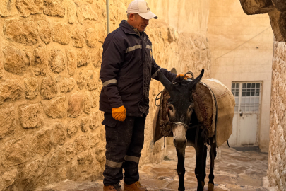 Belediyenin 'Kadrolu Eşekleri' emekliye ayrılıyor