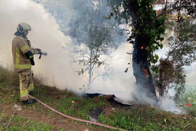 Mudanya’daki çamlık yangını büyümeden söndürüldü