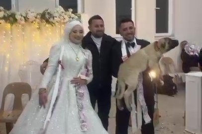 Düğün salonuna köpekle girdiler: Damat arkadaşından yeni evli çifte 100 bin TL'lik sürpriz hediye!