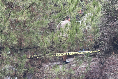 Kendisinden haber alınamayan kişi ormanlık alanda ölü bulundu