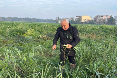 Osmangazi Kent Lokantası'nda Ata Tohumu lezzeti: Doğal üretim uygun fiyatla buluştu