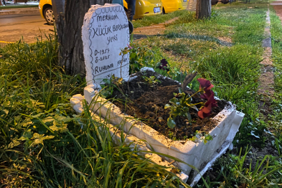 Bursalı taksiciler ölen muhabbet kuşları için mini mezar yaptılar