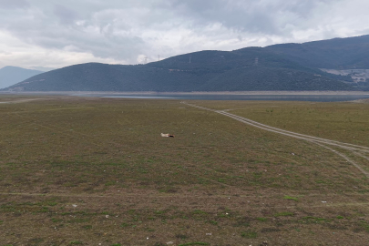 Bursa’da kuraklık alarmı: Gölbaşı Göleti kuruma noktasında, tarım tehlikede